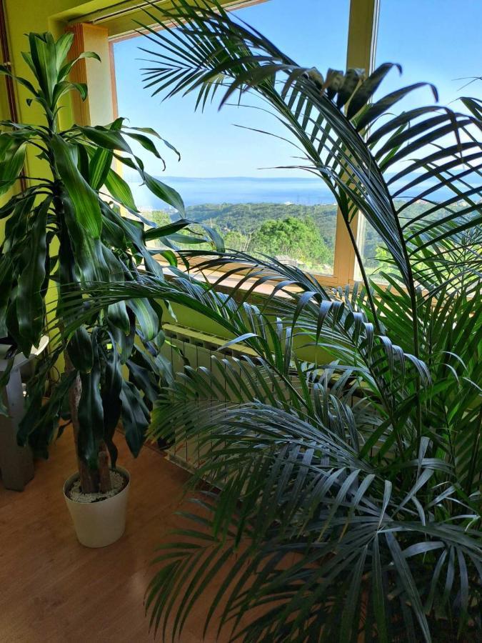 Kuca Za Odmor Vista Mare Villa Marinici  ภายนอก รูปภาพ